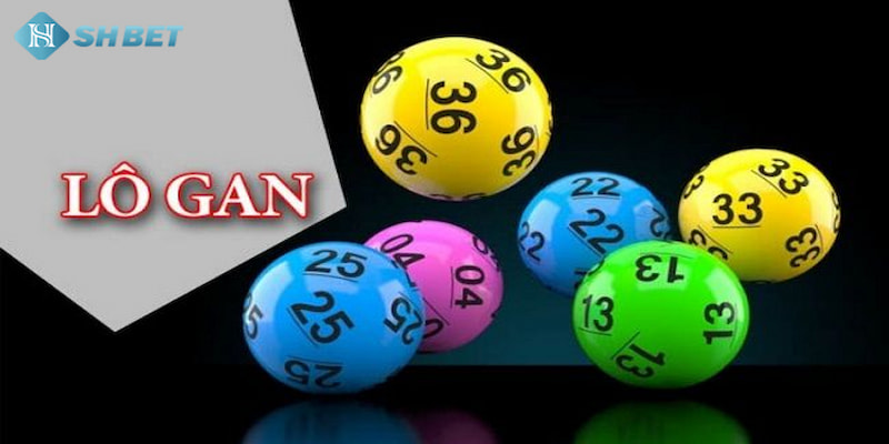 Banner www.hoiquandienchanbqc.com