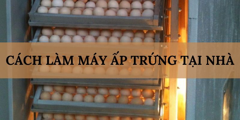 Banner www.hoiquandienchanbqc.com