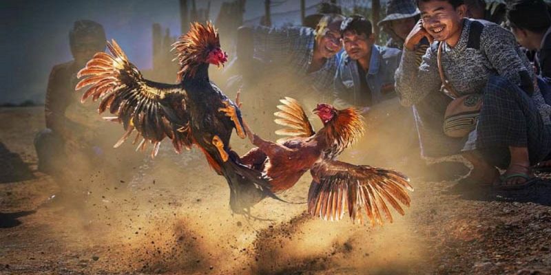 Banner www.hoiquandienchanbqc.com